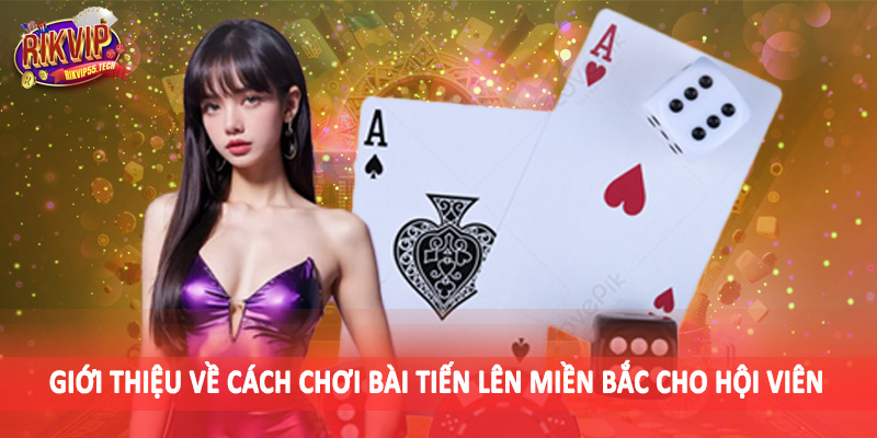 Giới thiệu về cách chơi bài tiến lên miền bắc cho hội viên
