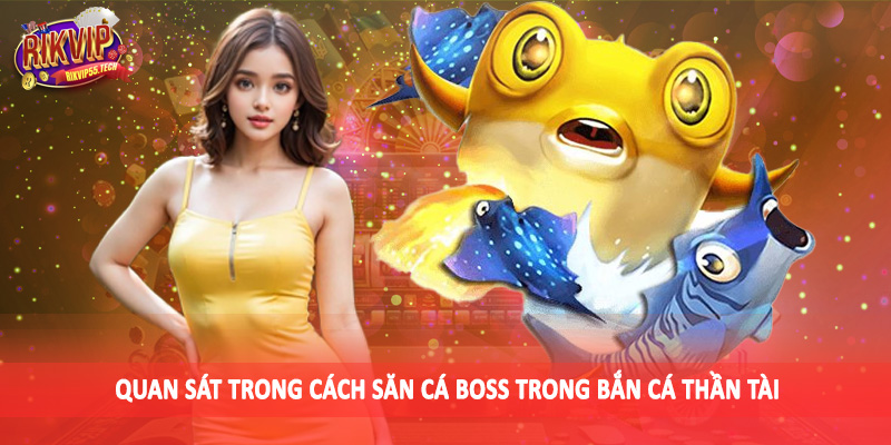 Quan sát trong cách săn cá boss trong bắn cá thần tài