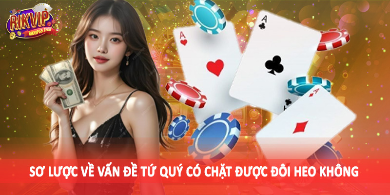 Tứ Quý Có Chặt Được Đôi Heo Không - Tìm Hiểu Và Đánh Giá 2 Sơ lược về vấn đề tứ quý có chặt được đôi heo không