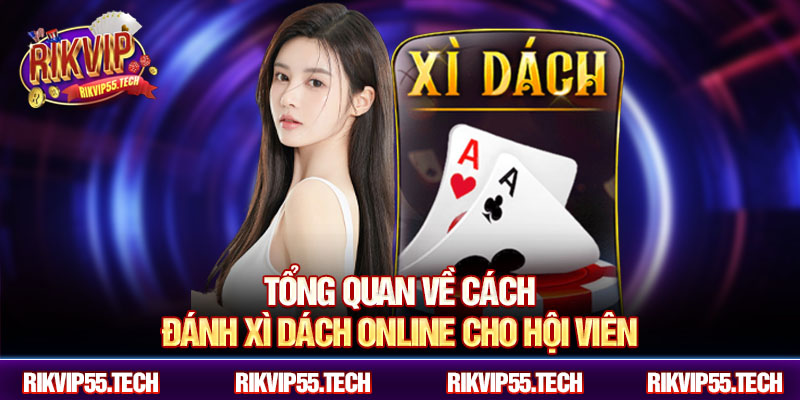 Tổng quan về cách đánh xì dách online cho hội viên