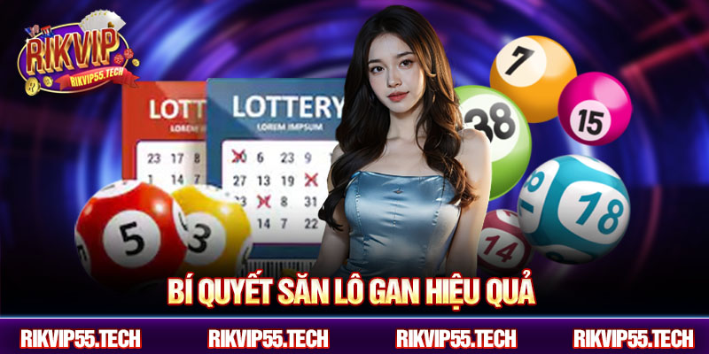 Bí quyết săn lô gan hiệu quả