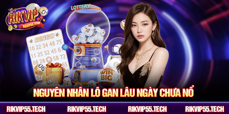 Nguyên nhân lô gan lâu ngày chưa nổ