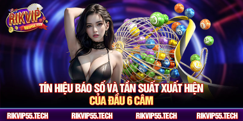 Tín hiệu báo số và tần suất xuất hiện của đầu 6 câm